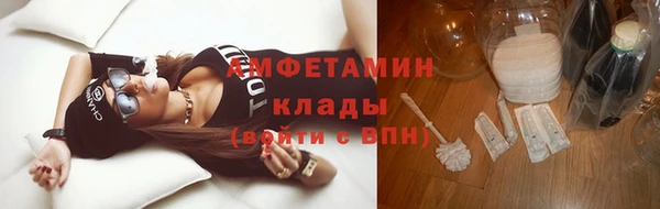 ГАЛЛЮЦИНОГЕННЫЕ ГРИБЫ Аркадак