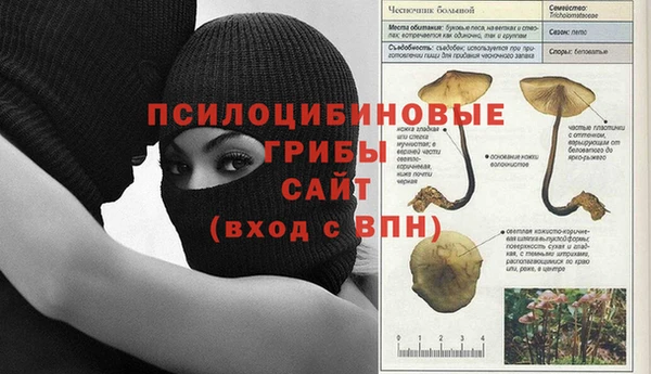 COCAINE Балахна