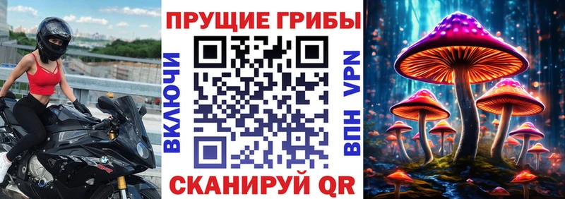 hydra сайт  Славгород  маркетплейс клад  где купить наркоту  Галлюциногенные грибы ЛСД 
